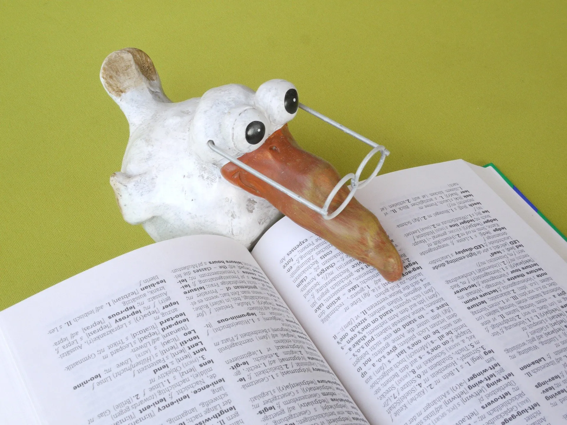 small figurine of white bird with long beak and glasses reading a real book
